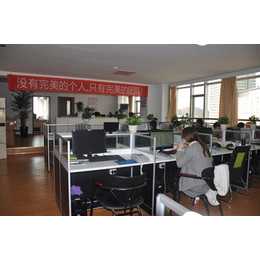 椒江網站建設_行業網站建設_臺州樂環(多圖)_裝潢設計_第一槍