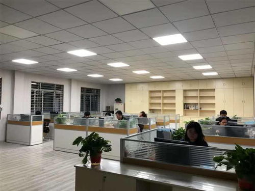揚州玉器廠迎戰(zhàn)雙十一 電商中心啟用，民辦培訓機構(gòu)助陣